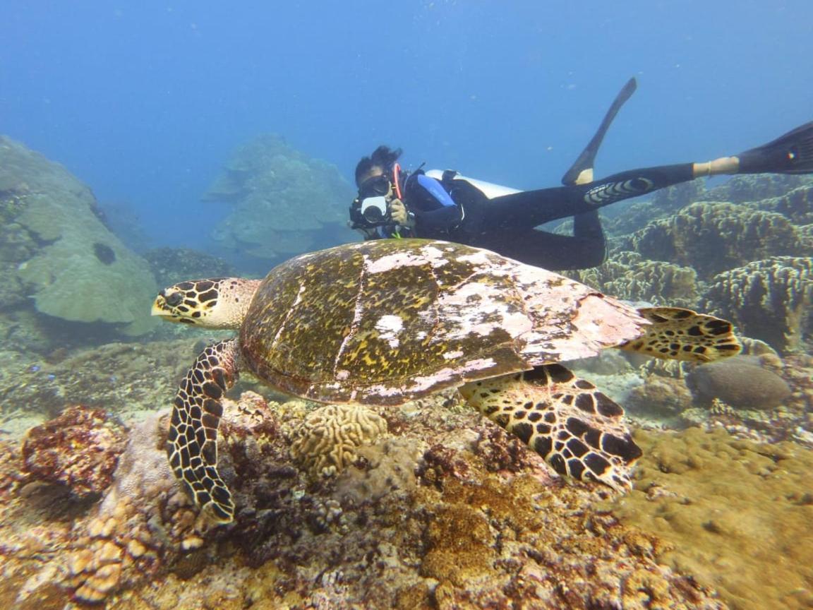 The Sagara Penida Nusa Penida Dış mekan fotoğraf